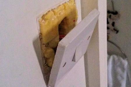 Expanding foam found in light switch